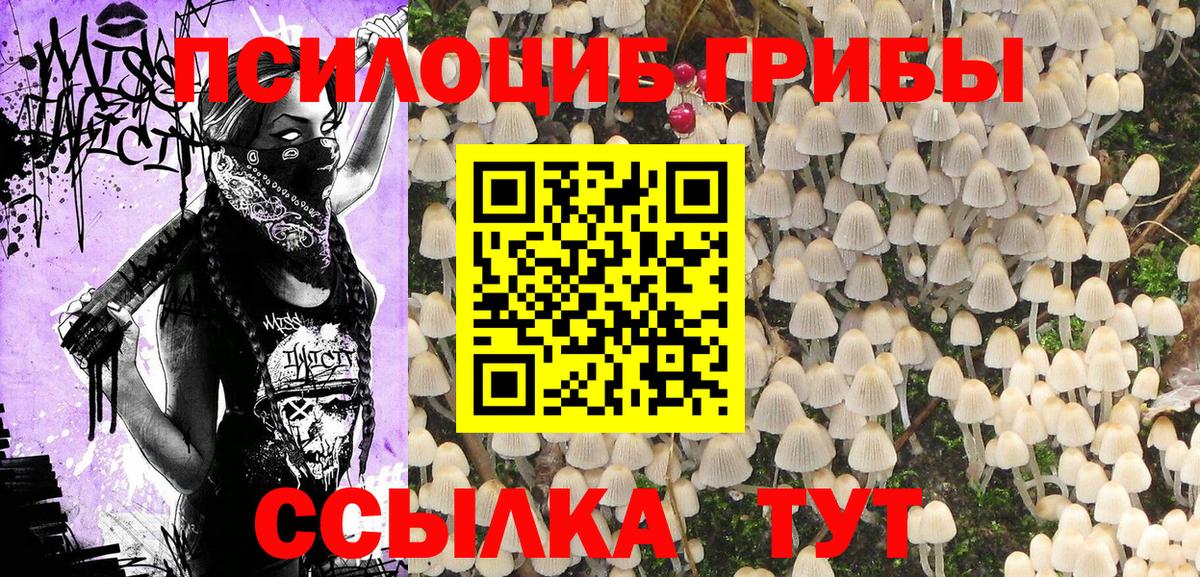 Псилоцибиновые грибы Psilocybine cubensis Шарыпово