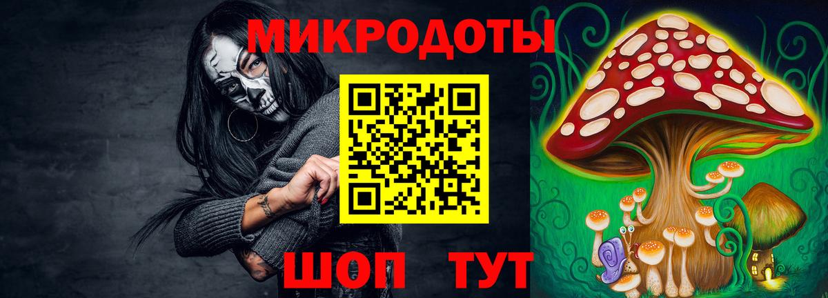 что такое   Вход с VPN  Шарыпово  Галлюциногенные грибы Cubensis 